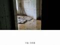 2024타경79385 경기도 남양주시 화도읍 묵현리 산100-15 다세대(빌라) 경매 이미지