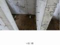 2024타경79385 경기도 남양주시 화도읍 묵현리 산100-15 다세대(빌라) 경매 이미지