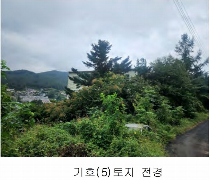 2024타경80309 경기도 남양주시 수동면 송천리 24-18 근린시설 경매 이미지
