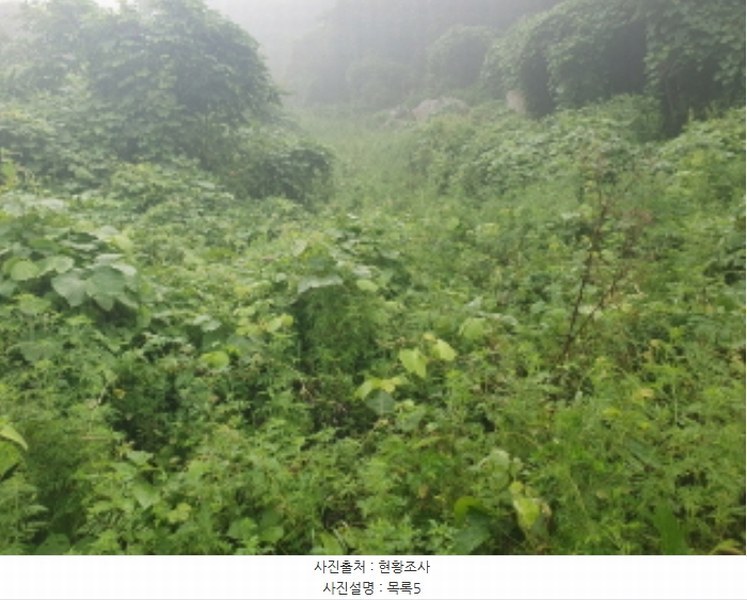 2024타경81098 경기도 가평군 청평면 고성리 643-12 농지 경매 이미지