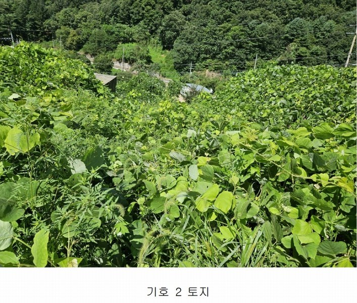 2024타경81098 경기도 가평군 청평면 고성리 643-12 농지 경매 이미지