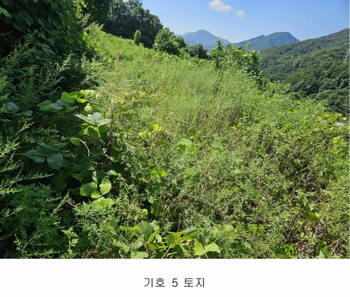2024타경81098 경기도 가평군 청평면 고성리 643-12 농지 경매 이미지