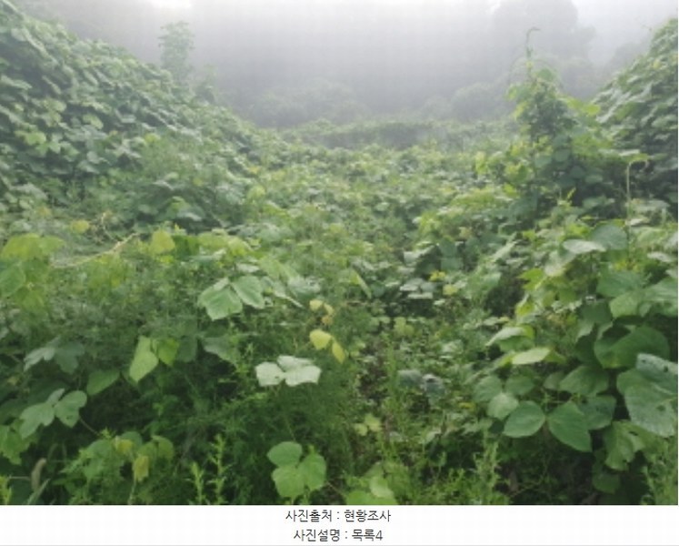 2024타경81098 경기도 가평군 청평면 고성리 643-12 농지 경매 이미지