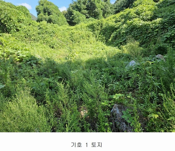 2024타경81098 경기도 가평군 청평면 고성리 643-12 농지 경매 이미지