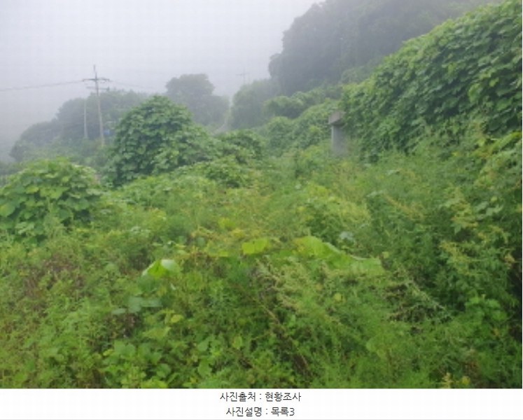 2024타경81098 경기도 가평군 청평면 고성리 643-12 농지 경매 이미지