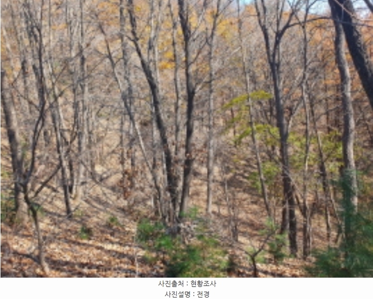 2024타경84943 경기도 가평군 가평읍 산유리 산198-8 임야 경매 이미지