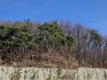2024타경85663 경기도 남양주시 호평동 산62 임야 경매 이미지