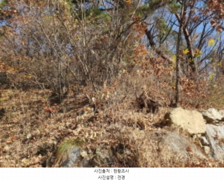 2024타경85663 경기도 남양주시 호평동 산62 임야 경매 이미지