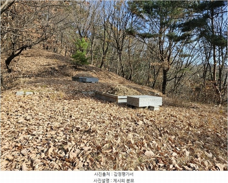 2024타경85663 경기도 남양주시 호평동 산62 임야 경매 이미지