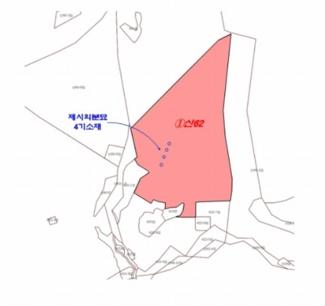 2024타경85663 경기도 남양주시 호평동 산62 임야 경매 이미지