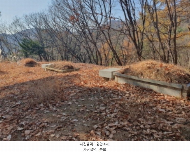 2024타경85663 경기도 남양주시 호평동 산62 임야 경매 이미지