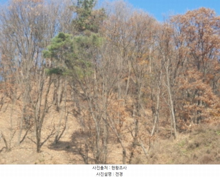 2024타경85663 경기도 남양주시 호평동 산62 임야 경매 이미지