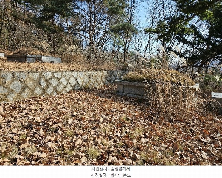 2024타경85663 경기도 남양주시 호평동 산62 임야 경매 이미지