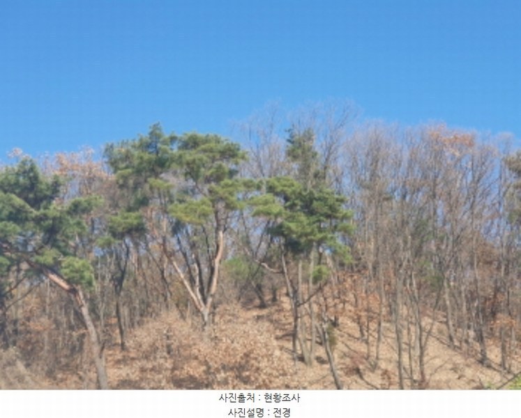 2024타경85663 경기도 남양주시 호평동 산62 임야 경매 이미지