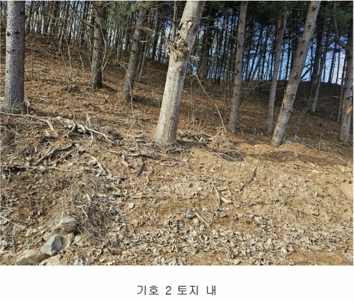 2024타경86307 경기도 가평군 설악면 사룡리 산62-1 임야 경매 이미지
