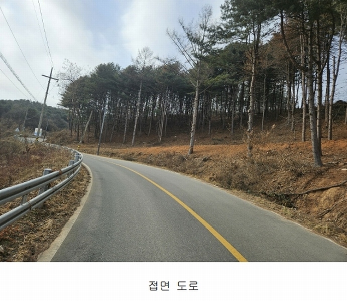 2024타경86307 경기도 가평군 설악면 사룡리 산62-1 임야 경매 이미지