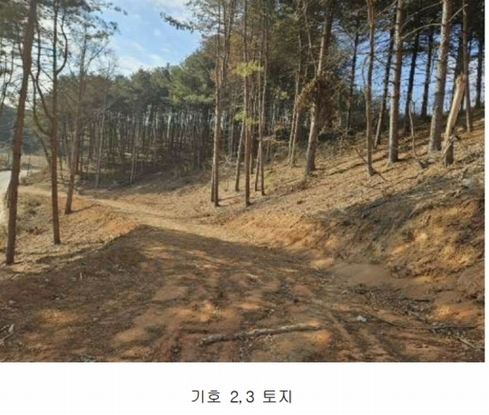 2024타경86307 경기도 가평군 설악면 사룡리 산62-1 임야 경매 이미지