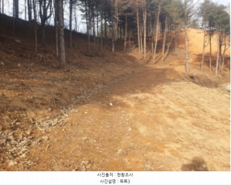 2024타경86307 경기도 가평군 설악면 사룡리 산62-1 임야 경매 이미지