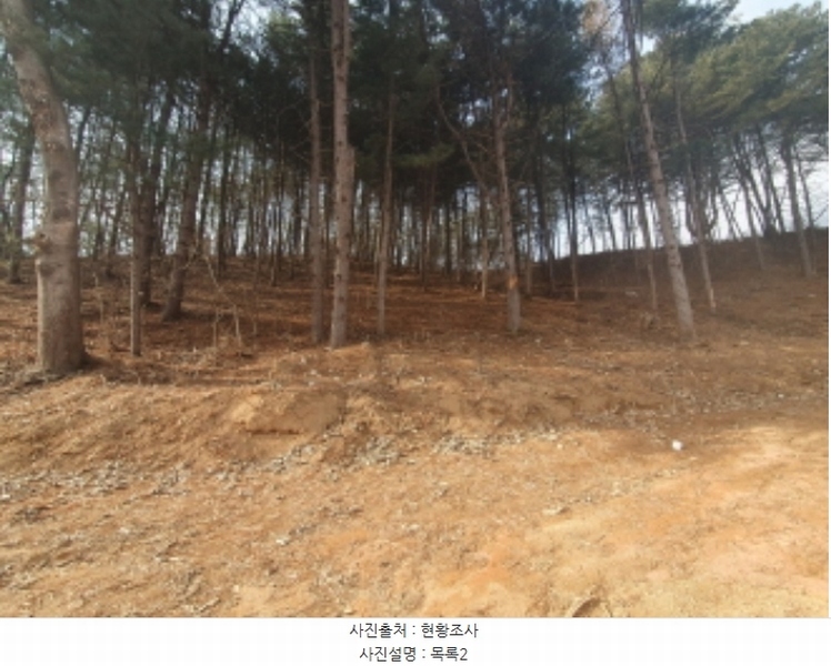 2024타경86307 경기도 가평군 설악면 사룡리 산62-1 임야 경매 이미지