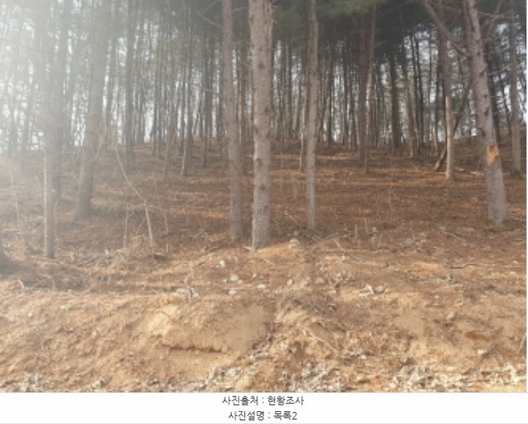 2024타경86307 경기도 가평군 설악면 사룡리 산62-1 임야 경매 이미지