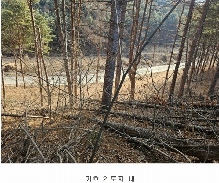 2024타경86307 경기도 가평군 설악면 사룡리 산62-1 임야 경매 이미지