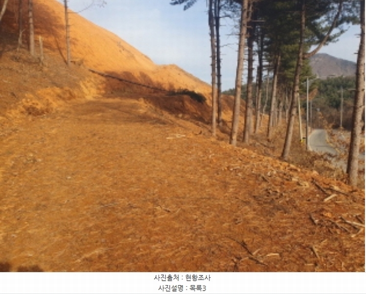 2024타경86307 경기도 가평군 설악면 사룡리 산62-1 임야 경매 이미지