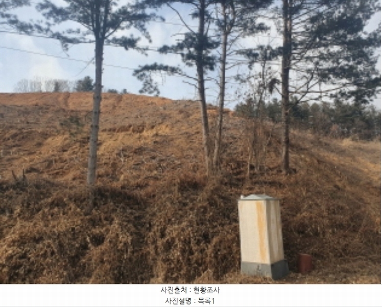 2024타경86307 경기도 가평군 설악면 사룡리 산62-1 임야 경매 이미지