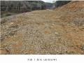 2024타경86307 경기도 가평군 설악면 사룡리 산62-1 임야 경매 이미지