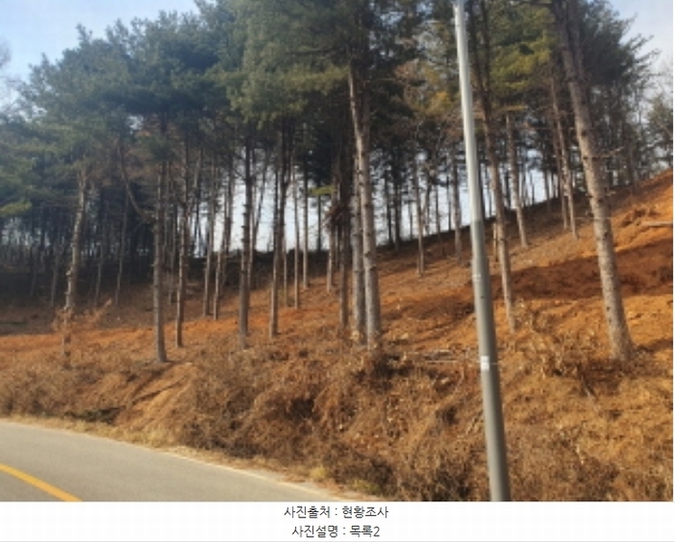 2024타경86307 경기도 가평군 설악면 사룡리 산62-1 임야 경매 이미지