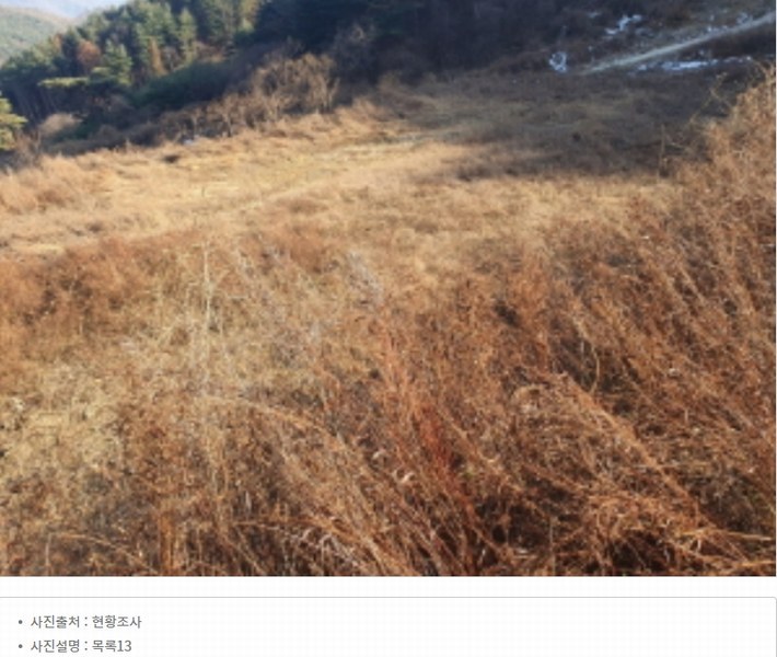 2024타경86642 경기도 가평군 청평면 대성리 산56 임야 경매 이미지
