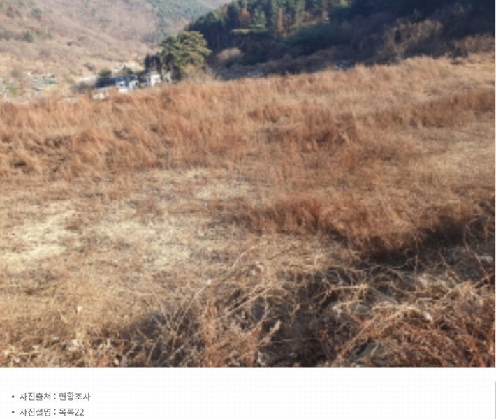 2024타경86642 경기도 가평군 청평면 대성리 산56 임야 경매 이미지