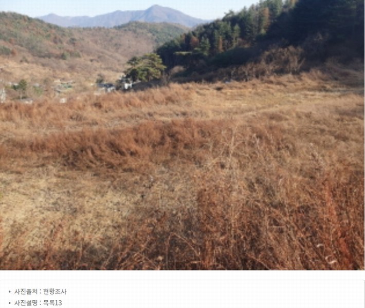 2024타경86642 경기도 가평군 청평면 대성리 산56 임야 경매 이미지