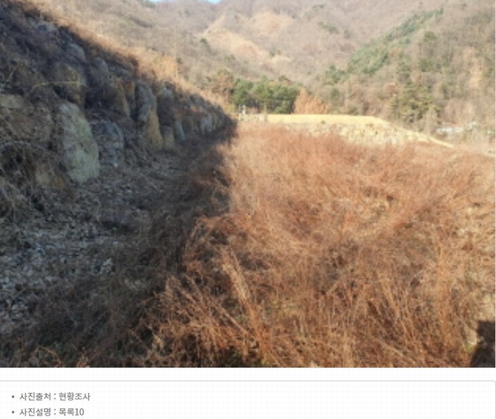 2024타경86642 경기도 가평군 청평면 대성리 산56 임야 경매 이미지