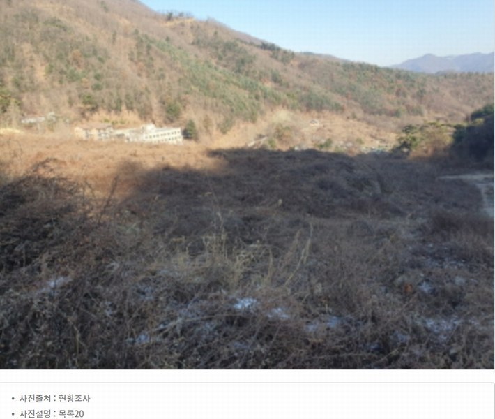 2024타경86642 경기도 가평군 청평면 대성리 산56 임야 경매 이미지