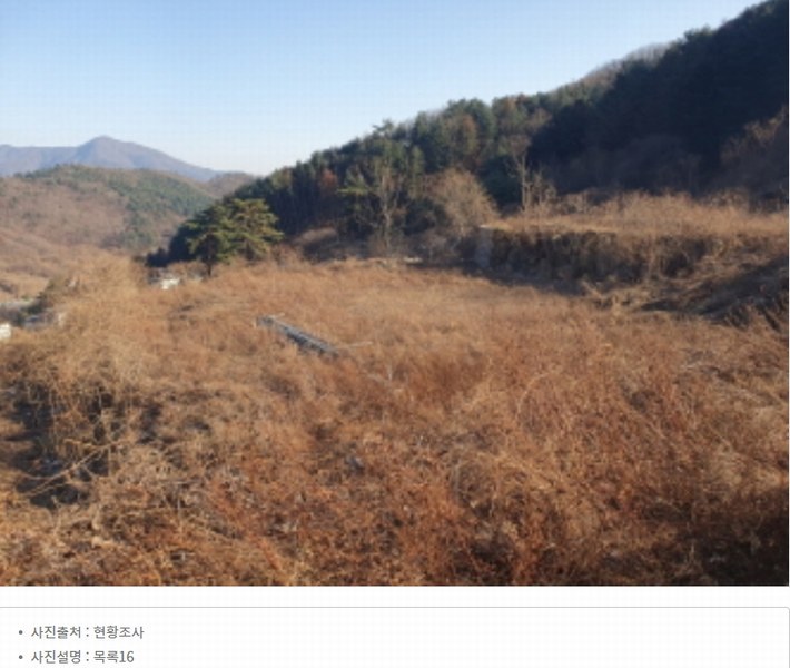 2024타경86642 경기도 가평군 청평면 대성리 산56 임야 경매 이미지