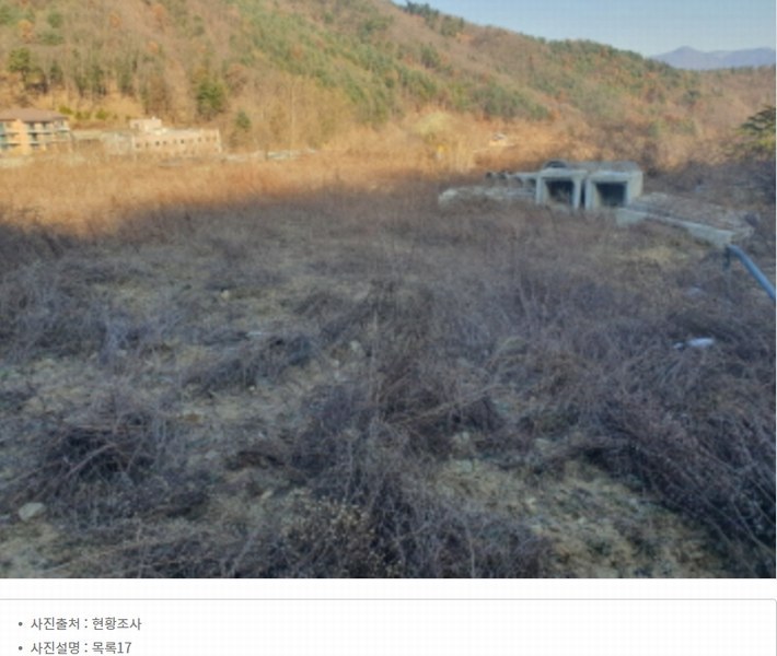 2024타경86642 경기도 가평군 청평면 대성리 산56 임야 경매 이미지