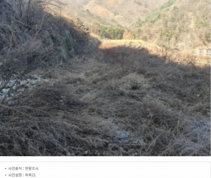 2024타경86642 경기도 가평군 청평면 대성리 산56 임야 경매 이미지