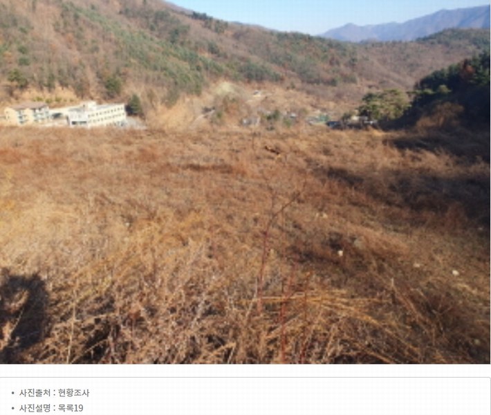 2024타경86642 경기도 가평군 청평면 대성리 산56 임야 경매 이미지