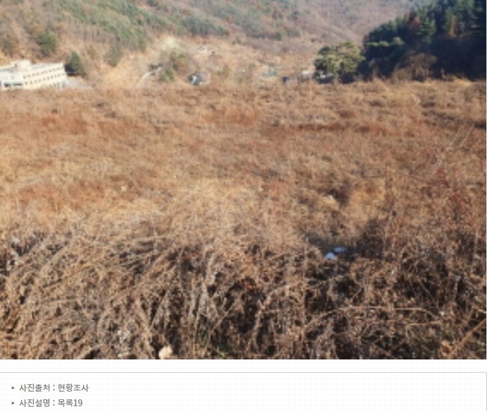 2024타경86642 경기도 가평군 청평면 대성리 산56 임야 경매 이미지
