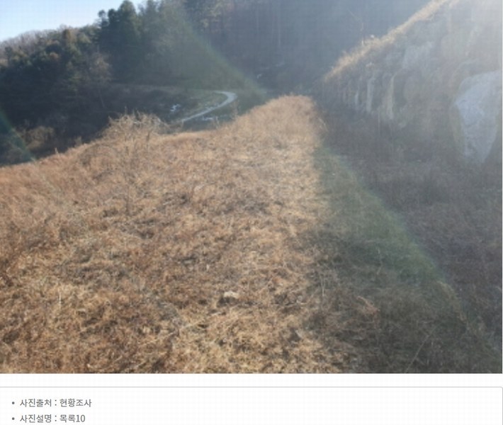 2024타경86642 경기도 가평군 청평면 대성리 산56 임야 경매 이미지