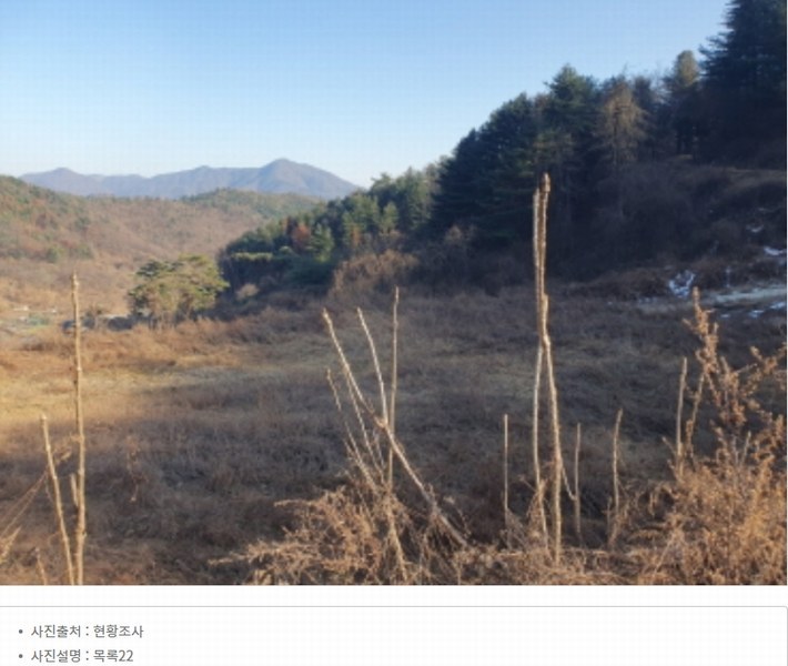 2024타경86642 경기도 가평군 청평면 대성리 산56 임야 경매 이미지