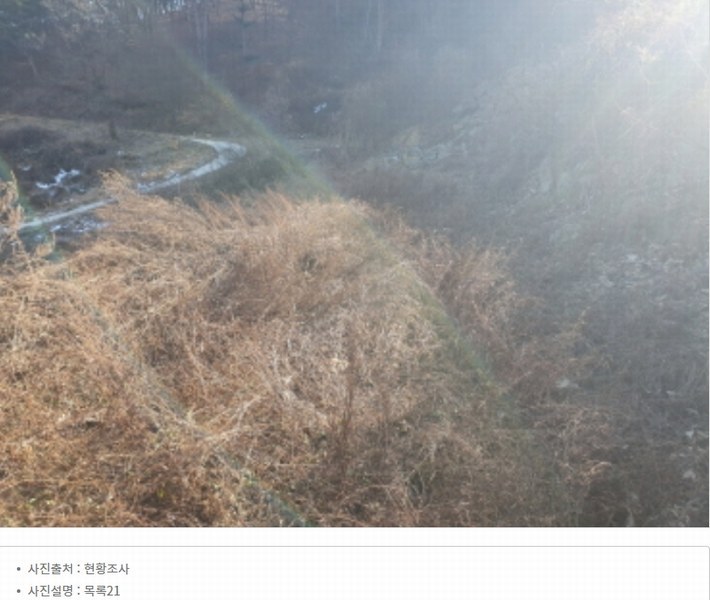 2024타경86642 경기도 가평군 청평면 대성리 산56 임야 경매 이미지