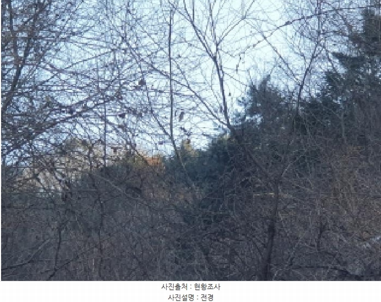 2025타경70927 경기도 가평군 가평읍 개곡리 산148-4 임야 경매 이미지