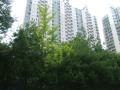 2025타경71549 경기도 구리시 동구릉로53번길 67, 아름마을엘지아파트 201동 7층 702호 아파트[공급45평형] 경매 이미지