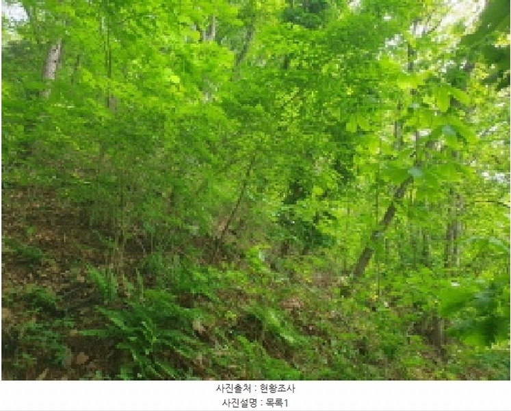 2025타경71616 경기도 가평군 청평면 청평리 산6-17 임야 경매 이미지