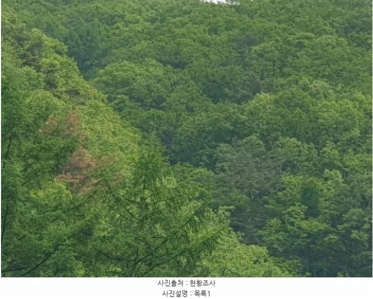 2025타경71616 경기도 가평군 청평면 청평리 산6-17 임야 경매 이미지
