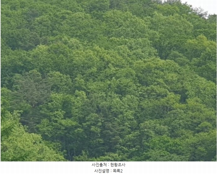 2025타경71616 경기도 가평군 청평면 청평리 산6-17 임야 경매 이미지