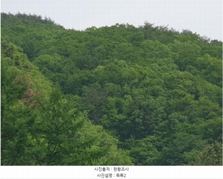 2025타경71616 경기도 가평군 청평면 청평리 산6-17 임야 경매 이미지