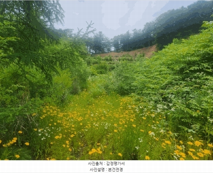 2025타경71813 경기도 가평군 설악면 사룡리 668-8 대지 경매 이미지