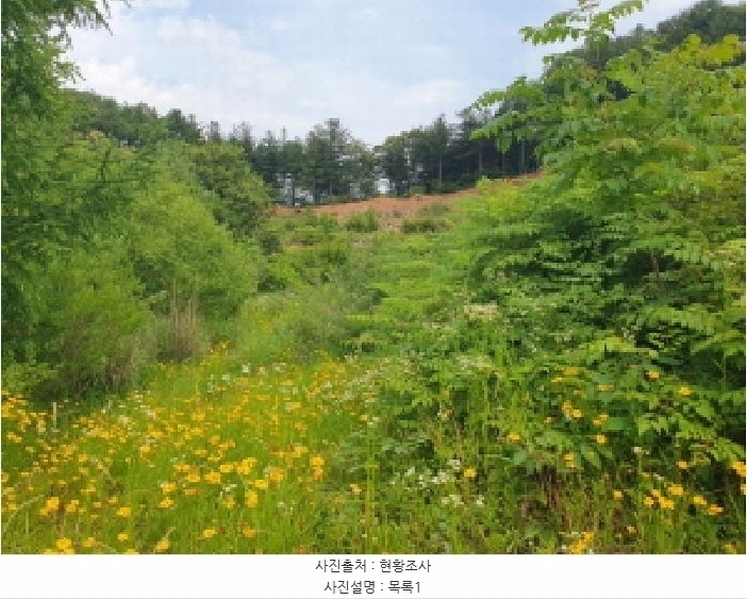 2025타경71813 경기도 가평군 설악면 사룡리 668-8 대지 경매 이미지